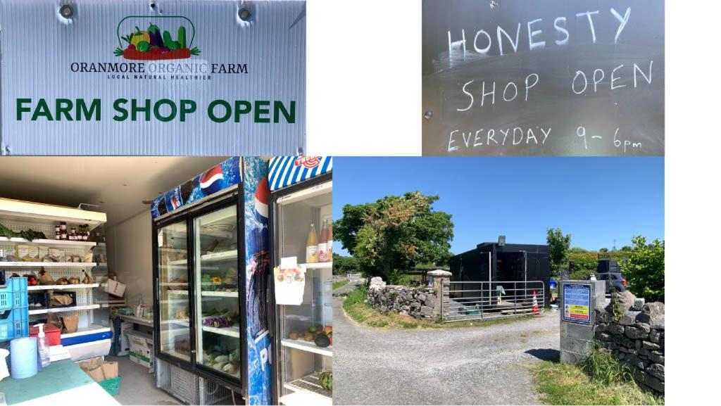 The Cosy Studio By The Shore Galway Exterior foto